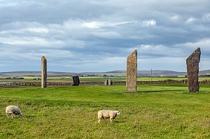 SITE NEOLITHIQUE DES PIERRES LEVEES DE STROMNESS, ARCHIPEL DES ORCADES, ECOSSE, ROYAUME-UNI, EUROPE 