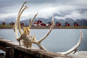 BOIS DE RENNES SUR LE PONTON D'UNE MAISON DE CHASSEUR, ESKIFJORDUR, ISLANDE, EUROPE 