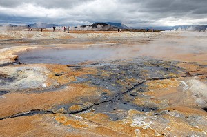 BASSINS DE BOUE GRISE BOUILLONNANTS ET FUMEROLLES EMETTANT DU GAZ SULFURIQUE, SITE GEOTHERMIQUE DE HVERAROND, PAYSAGE DU VOLCANISME DE NAMASKARD, REYKJAHLID, ISLANDE, EUROPE 