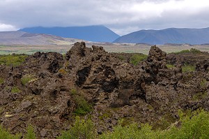 SITE VOLCANIQUE DES CHATEAUX NOIRS, PROMENADE AU MILIEU DES FORMATIONS DE LAVE, BORGIR, MYVATN, ISLANDE, EUROPE 