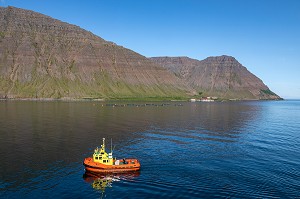 BATEAU PILOTE ISLANDAIS, BAIE DE ISAFJORDUR, ISLANDE, EUROPE 