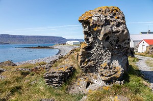 PHOQUES DEVANT L'ILE DE VIGUR, RESERVE ORNITHOLOGIQUE D'OISEAUX MARINS, FJORD ISAFJARDARJUP, ISLANDE, EUROPE 