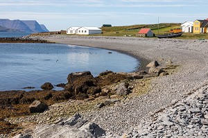 LA PLAGE GALET DE L'ILE DE VIGUR, RESERVE ORNITHOLOGIQUE D'OISEAUX MARINS, FJORD ISAFJARDARJUP, ISLANDE, EUROPE 