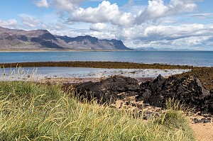 PLAGE DE BUDA, BUDHIR, PRESQU'ILE VOLCANIQUE DE GRUNDARFJORDUR, PENINSULE DE SNAEFFELSNES DECRITE DANS LE ROMAN DE JULES VERNES, ARNARSTAPI, ISLANDE 