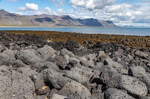 PLAGE DE BUDA, BUDHIR, PRESQU'ILE VOLCANIQUE DE GRUNDARFJORDUR, PENINSULE DE SNAEFFELSNES DECRITE DANS LE ROMAN DE JULES VERNES, ARNARSTAPI, ISLANDE 