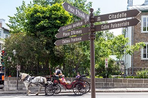 CALECHES POUR LES TOURISTES DEVANT LES PANNEAUX DE SIGNALISATION DES DIFFERENTS CENTRES D'INTERET (PLACE D'ARMES, CITADELLE, CHATEAU FRONTENAC, INFORMATIONS TOURISTIQUES...), RUE D'AUTEUIL, VILLE DE QUEBEC, CANADA 