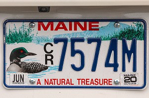 PLAQUE D'IMMATRICULATION DE VOITURE DU MAINE, TRESOR NATUREL, ETATS-UNIS, AMERIQUE DU NORD 