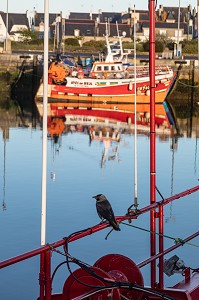 BATEAUX DE PECHEURS SUR LE PORT, QUAI DE LECHIAGAT, GUILVINEC, FINISTERE, BRETAGNE, FRANCE 