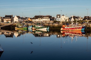 BATEAUX DE PECHEURS SUR LE PORT, QUAI DE LECHIAGAT, GUILVINEC, FINISTERE, BRETAGNE, FRANCE 