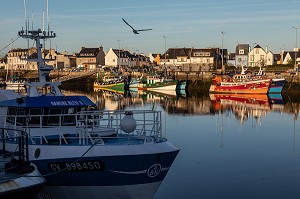 BATEAUX DE PECHEURS SUR LE PORT, QUAI DE LECHIAGAT, GUILVINEC, FINISTERE, BRETAGNE, FRANCE 