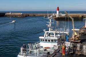 BATEAUX DE PECHEURS A LA DEBARQUE SUR LE PORT GUILVINEC, FINISTERE, BRETAGNE, FRANCE 