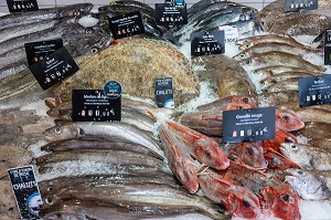 ETALAGE DE POISSONS FRAIS, POISSONNERIE DU PORT DU GUILVINEC, FINISTERE, BRETAGNE, FRANCE 