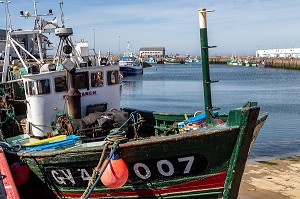 PORT DE SAINT-GUENOLE, PENMARCH, FINISTERE, BRETAGNE, FRANCE 