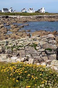 POINTE DE LA RUE DES FLOTS, PENMARCH, FINISTERE, BRETAGNE, FRANCE 