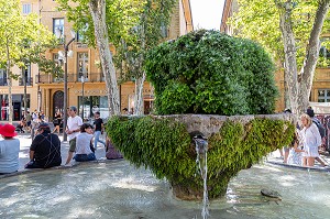 FONTAINE VEGETALE DES NEUF-CANONS, COURS MIRABEAU, AIX-EN-PROVENCE, BOUCHES-DU RHONE, FRANCE 