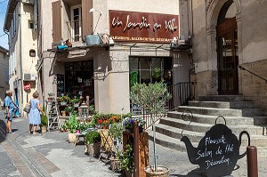 FLEURISTE UN JARDIN EN VILLE, PLACE DE L'EGLISE, L'ISLE-SUR-LA-SORGUE, VAUCLUSE, LUBERON, FRANCE 