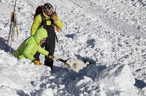 REPORTAGE SUR LES MAITRES-CHIENS D'AVALANCHE, FORMATION ORGANISEE PAR LA SECURITE CIVILE, LES-DEUX-ALPES, FRANCE 