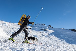 MAITRE CHIEN AVEC SON BORDER COLLIE EN DEPLACEMENT SKI, REPORTAGE SUR LES MAITRES-CHIENS D'AVALANCHE, FORMATION ORGANISEE PAR L'ANENA AVEC L'AGREMENT DE LA SECURITE CIVILE, LES-DEUX-ALPES (38), FRANCE 