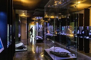 SALLE D'EXPOSITION DES MINERAUX ET DES FOSSILES 'A L'ORIGINE DU CHARBON', MUSEE DE LA MINE DU NORD-PAS DE CALAIS, CENTRE HISTORIQUE MINIER LEWARDE, NORD, FRANCE 