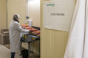 SALLE DE TRI DES OEUFS, ZONE PROPRE ET CONTROLEE, ELEVAGE DE POULES PONDEUSES EN PLEIN AIR A LA FERME, MONSIEUR ET MADAME PATTE-GRANVILLAIN, SAINT-MARTIN-DE-BRETHENCOURT, YVELINES 