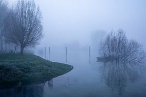 BORDS DE LA SEINE DANS LA BRUME MATINALE, LES-ANDELYS, (27) EURE, HAUTE-NORMANDIE, NORMANDIE, FRANCE 