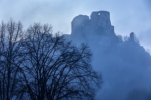 RUINES DU CHATEAU GAILLARD, FORTERESSE MILITAIRE DU XII EME SIECLE DANS LA BRUME MATINALE, LES-ANDELYS, (27) EURE, HAUTE-NORMANDIE, NORMANDIE, FRANCE 