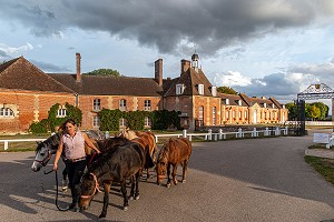 ENTREE DU HARAS NATIONAL DU PIN, LE PIN-AU-HARAS, (61) ORNE, BASSE-NORMANDIE, NORMANDIE, FRANCE 