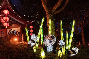 PANDAS BLANCS, JARDIN DES LUMIERES, FESTIVAL DES LANTERNES CHINOISES AU JARDIN BOTANIQUE, MONTREAL, QUEBEC, CANADA 