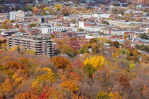 COULEURS D'AUTOMNE DANS LE PARC DU MONT-ROYAL ET VUE SUR LES QUARTIERS RESIDENTIELS DE LA VILLE DE MONTREAL, QUEBEC, CANADA 