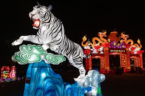 TIGRE DU BENGALE, FEUX FOLLETS, LUMIERE SUR LA CHINE, PARC JEAN DRAPEAU, ILE SAINTE-HELENE, MONTREAL, QUEBEC, CANADA 