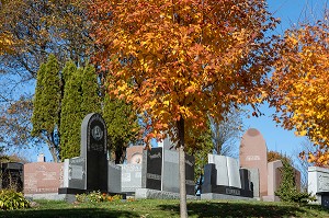 CIMETIERE NOTRE-DAME DES NEIGES, PARC DU MONT-ROYAL AUX COULEURS D'AUTOMNE, MONTREAL, QUEBEC, CANADA 