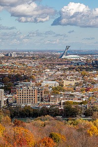 COULEURS D'AUTOMNE DANS LE PARC DU MONT-ROYAL ET VUE SUR LE STADE OLYMPIQUE ET LA VILLE DE MONTREAL, QUEBEC, CANADA 