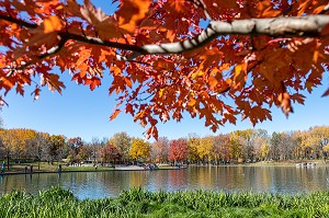 LAC AUX CASTORS, PARC DU MONT-ROYAL AUX COULEURS D'AUTOMNE, MONTREAL, QUEBEC, CANADA 