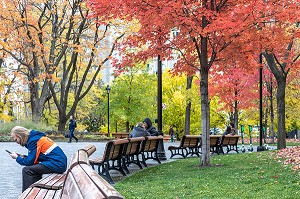 PARC AUX COULEURS D'AUTOMNE DU SQUARE DORCHESTER, PLACE DU CANADA, MONTREAL, QUEBEC, CANADA 