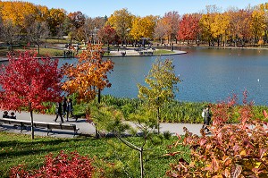 BALADE AUTOUR DU LAC AUX CASTORS, PARC DU MONT-ROYAL AUX COULEURS D'AUTOMNE, MONTREAL, QUEBEC, CANADA 