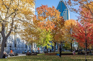 PARC AUX COULEURS D'AUTOMNE DU SQUARE DORCHESTER, ATRIUM LE 1000, PLACE DU CANADA, MONTREAL, QUEBEC, CANADA 