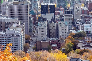 COULEURS D'AUTOMNE DANS LE PARC DU MONT-ROYAL ET VUE SUR DE QUARTIER DES AFFAIRES, PEINTURE MURALE DU PORTRAIT DE LEONARD COHEN, VILLE DE MONTREAL, QUEBEC, CANADA 