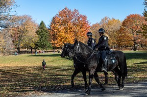 FEMMES POLICIERES, POLICE MONTEE A CHEVAL, PARC DU MONT-ROYAL AUX COULEURS D'AUTOMNE, MONTREAL, QUEBEC, CANADA 