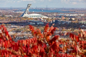 COULEURS D'AUTOMNE DANS LE PARC DU MONT-ROYAL ET VUE SUR LE STADE OLYMPIQUE ET LA VILLE DE MONTREAL, QUEBEC, CANADA 