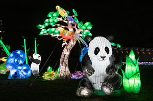 PANDAS BLANCS ET PERROQUETS, FEUX FOLLETS, LUMIERE SUR LA CHINE, PARC JEAN DRAPEAU, ILE SAINTE-HELENE, MONTREAL, QUEBEC, CANADA 