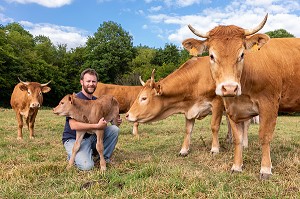XAVIER CARRE ELEVEUR DE VACHES LIMOUSINES, LES BOTTEREAUX, EURE, NORMANDIE, FRANCE, EUROPE 