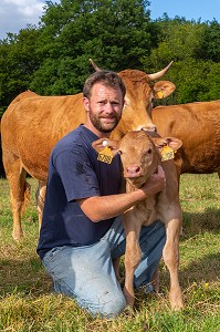 XAVIER CARRE ELEVEUR DE VACHES LIMOUSINES, LES BOTTEREAUX, EURE, NORMANDIE, FRANCE, EUROPE 