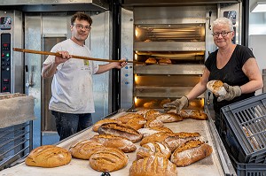 PRODUCTION DE PAIN BIO PAR BLANDINE ZOUTARD, MESNIL-SUR-ITON, EURE, NORMANDIE, FRANCE, EUROPE 