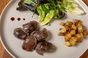 GESIERS DE CANARD, PRODUCTEUR DE FOIE GRAS ET DE CONSERVES A BASE DE CANARD, DOMAINE DE VOISIN, TILLAY-LE-PENEUX, EURE-ET-LOIR, FRANCE 