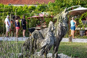 LE CHANT DU COQ ET LE CRI DU LOUP, ANIMAUX QUI REVEILLENT OU FONT PEUR, VILLE FORTIFIEE DE BROUAGE, CHARENTE-MARITIME, FRANCE 