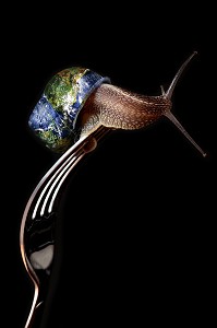 FESTIN, ESCARGOT VIVANT SUR UNE FOURCHETTE AVEC SA COQUILLE EN FORME DE TERRE, ILLUSTRATION DE LA TERRE NOURRICIERE, EXPOSITION PHOTOGRAPHIQUE ‘TERRE FRAGILE’ MONTRANT L’IMPACT DE L’HOMME SUR LA PLANETE, FRANCE, MONDE 