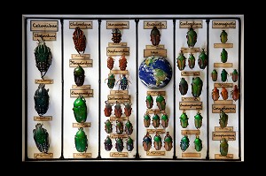 EPILOGUE, LA TERRE EPINGLE SUR UNE PLANCHE D'INSECTES, ILLUSTRATION DE LA CONSERVATION DE LA PLANETE COMME UNE PIECE DE MUSEE, EXPOSITION PHOTOGRAPHIQUE ‘TERRE FRAGILE’ MONTRANT L’IMPACT DE L’HOMME SUR LA PLANETE, FRANCE, MONDE 