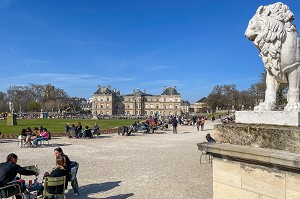 LA STATUE DU LION, JARDIN DU LUXEMBOURG ET PALAIS (SENAT), 6EME ARRONDISSEMENT, (75) PARIS, FRANCE 