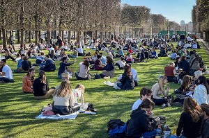 JEUNES PERSONNES AGGLUTINEES SUR LES PELOUSES SANS MASQUE MAIS LES MESURES D'HYGIENE ET GESTES BARRIERES, JARDIN DU LUXEMBOURG ET PALAIS (SENAT), 6EME ARRONDISSEMENT, (75) PARIS, FRANCE 