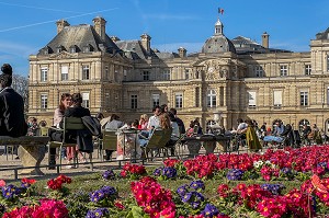 BAINS DE SOLEIL PENDANT LE CONFINEMENT, JARDIN DU LUXEMBOURG ET PALAIS (SENAT), 6EME ARRONDISSEMENT, (75) PARIS, FRANCE 